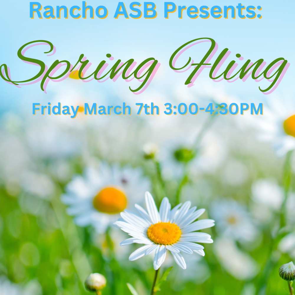 Spring fling with Daisy background