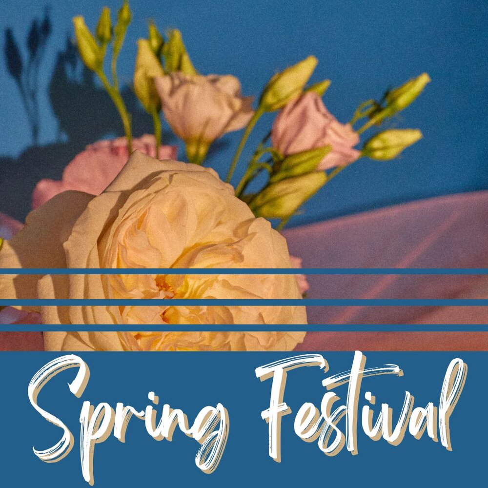 "spring Festival" rose in background