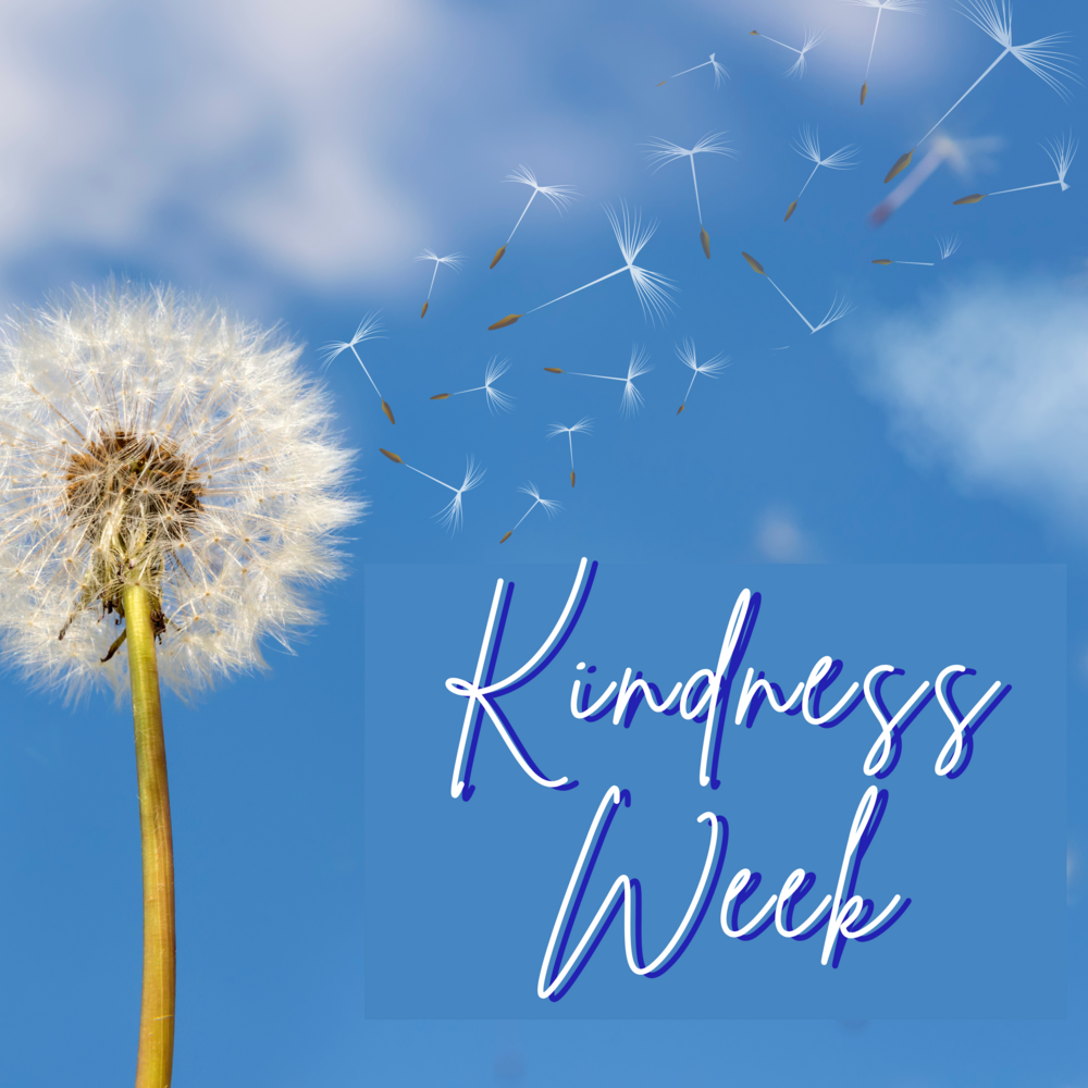 "kindness week" dandelion blowing in the breeze