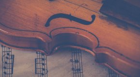 violin